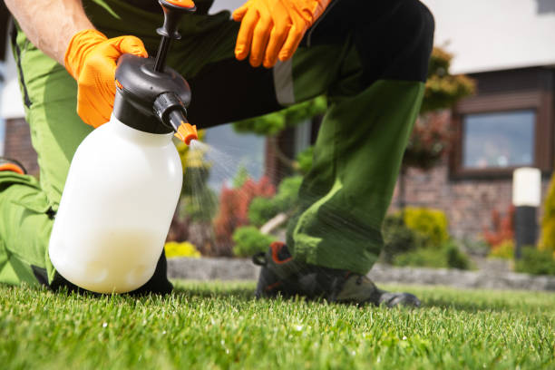 Best Pest Control Treatment  in Sterling, KS