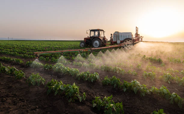 Best Ant Control Services  in Sterling, KS
