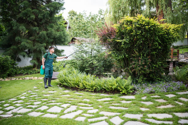 Best Affordable Pest Control Services  in Sterling, KS