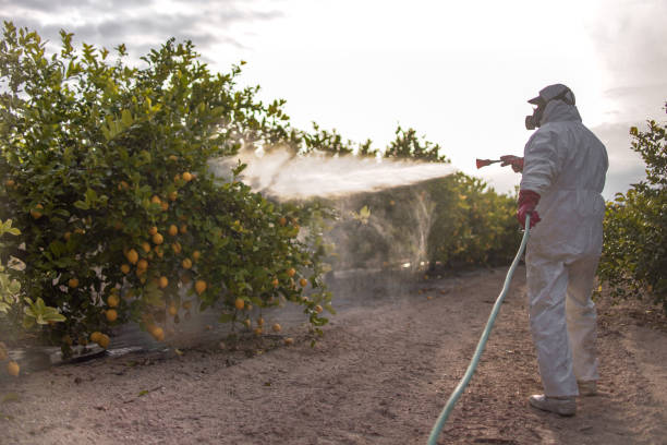 Best Cockroach Control Services  in Sterling, KS