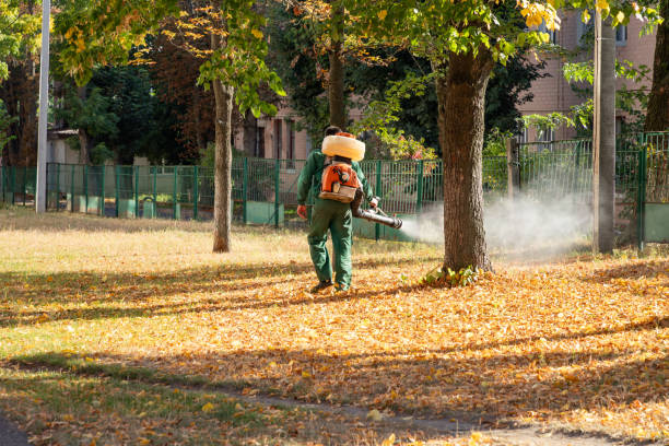 Best Flea Control Services  in Sterling, KS