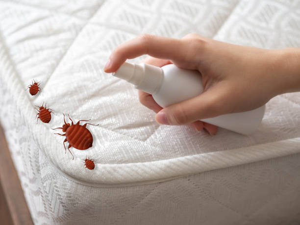 Pest Control Cost in Sterling, KS