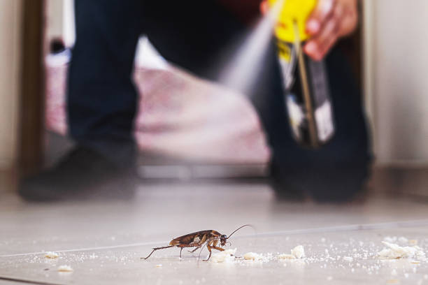 Best Pest Inspection Near Me  in Sterling, KS