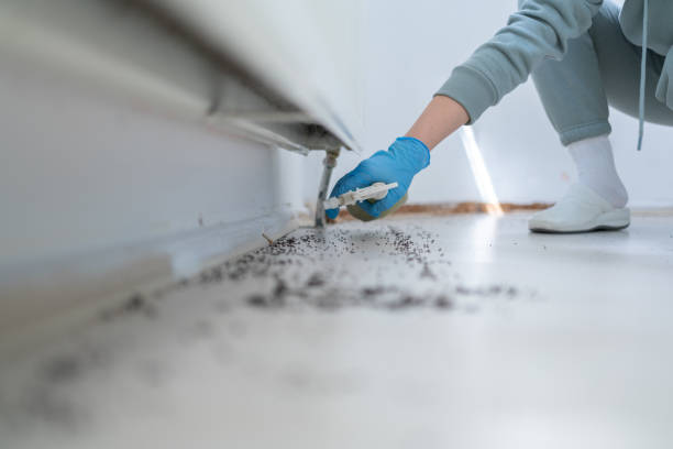 Best Commercial Pest Control Services  in Sterling, KS