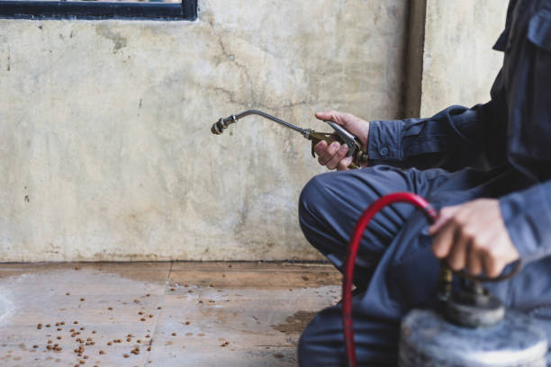 Best Emergency Pest Control  in Sterling, KS
